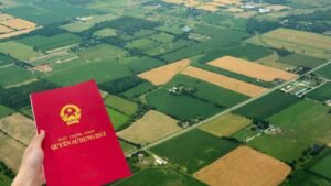 Đất không sổ đỏ: Cơ hội vàng hay là rủi ro tiềm ẩn cho người mua?