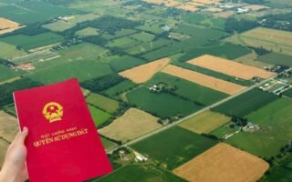 Đất không sổ đỏ: Cơ hội vàng hay là rủi ro tiềm ẩn cho người mua?