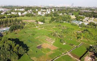 Đất Bị Thu Hồi - Hiểu Rõ Quyền Lợi Và Pháp Luật Cần Biết