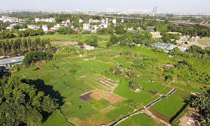 Đất Bị Thu Hồi: Hiểu Rõ Quyền Lợi & Pháp Luật Cần Biết