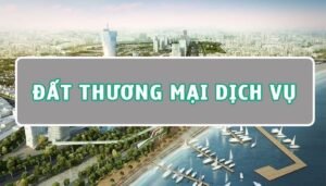 Đất Thương Mại Dịch Vụ Là Gì? Những Điều Cần Biết Khi Đầu Tư