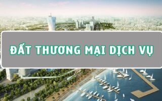 Đất Thương Mại Dịch Vụ Là Gì? Những Điều Cần Biết Khi Đầu Tư
