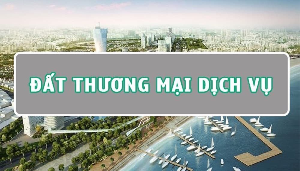 Đất Thương Mại Dịch Vụ Là Gì? Giải Đáp Cho Người Mới