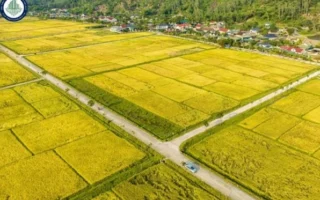 1-cong-dat-la-bao-nhieu-m2-giai-ma-don-vi-do-dat-pho-bien-nh_147