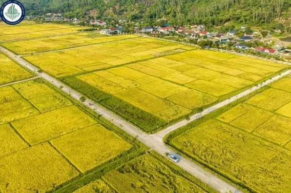 1-cong-dat-la-bao-nhieu-m2-giai-ma-don-vi-do-dat-pho-bien-nh_147