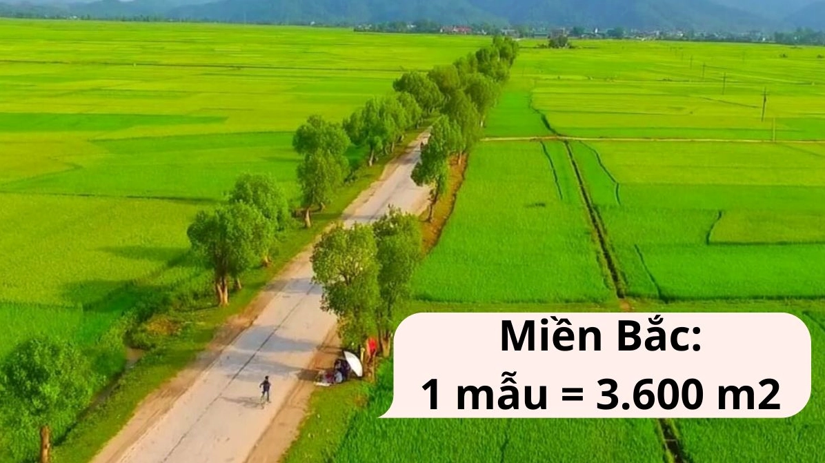 1 mẫu bằng bao nhiêu m2 miền Bắc