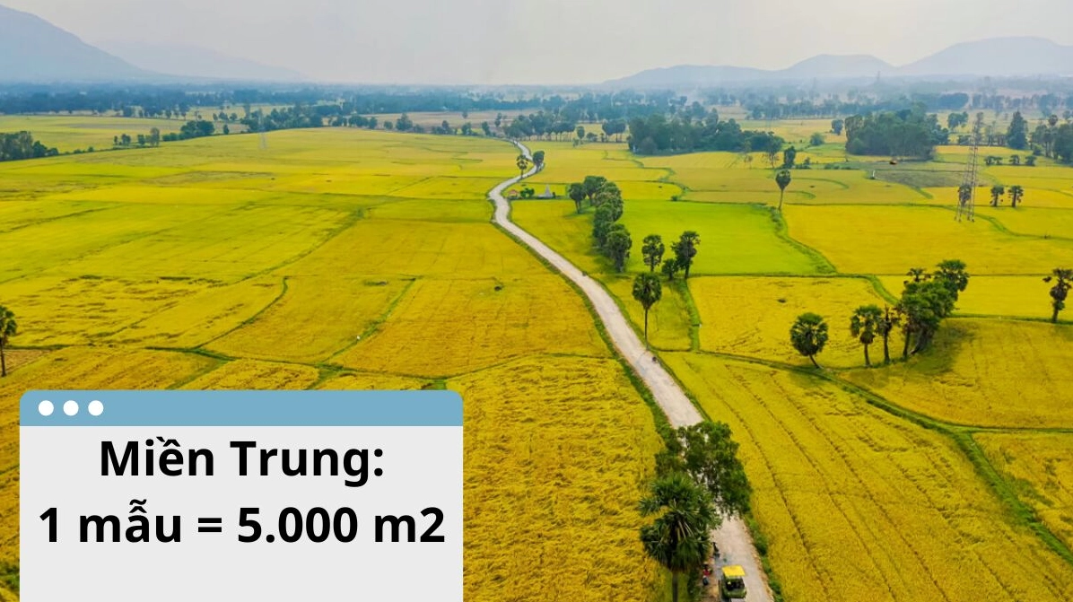 1 mẫu bằng bao nhiêu m2 miền Trung