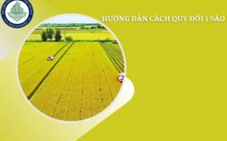 1-sao-la-bao-nhieu-m2-giai-ma-chuan-xac-don-vi-do-dat-pho-bi_574