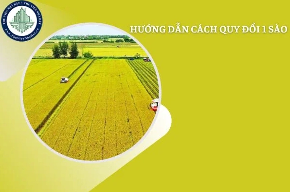 1-sao-la-bao-nhieu-m2-giai-ma-chuan-xac-don-vi-do-dat-pho-bi_574