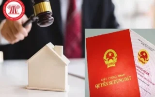 cap-nhat-2026-sang-ten-so-do-cho-con-het-bao-nhieu-tien-chi-_176