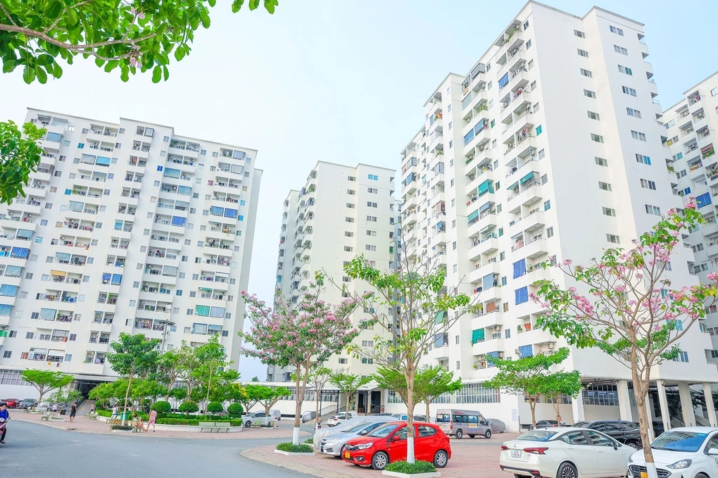 Chung cư Lê Thành Tân Tạo 1 - Góc nhìn tổng thể