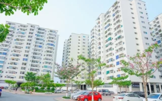 chung-cu-le-thanh-tan-tao-phan-tich-chuyen-sau-ve-an-cu-dau-_887