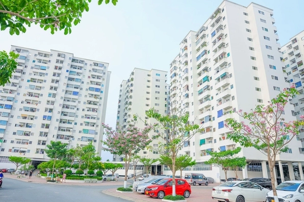 Chung cư Lê Thành Tân Tạo: Phân tích chuyên sâu về An cư & Đầu tư 2026