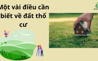 dat-tho-cu-la-gi-giai-ma-a-z-moi-dieu-can-biet-nam-2026_619