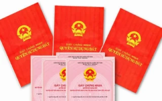 giai-ma-so-do-va-so-hong-khac-nhau-the-nao-cam-nang-phap-ly-_209