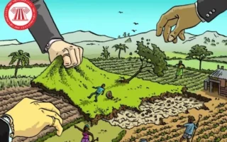 huong-dan-chi-tiet-giai-quyet-tranh-chap-dat-dai-da-co-so-do_843