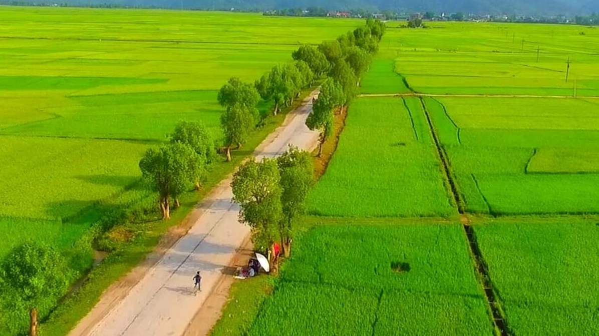 Tìm hiểu về đơn vị “sào” trong đo đạc đất đai