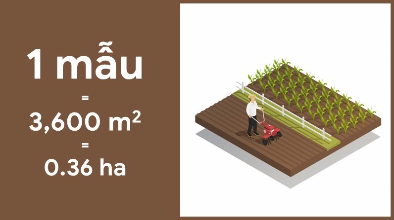 Ứng dụng thực tế trong bất động sản